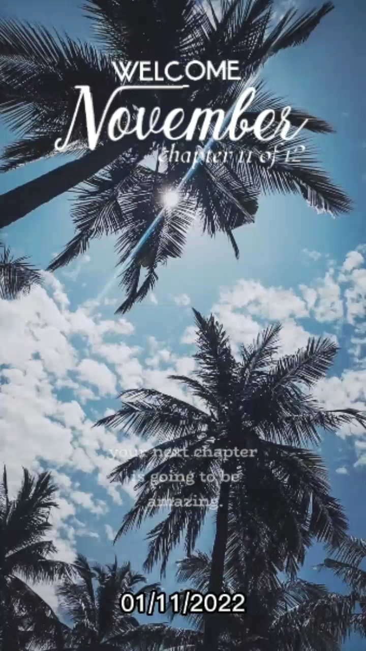Bienvenido noviembre