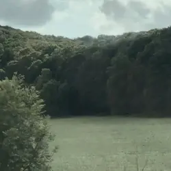 4 ur video