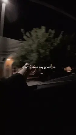 I don't wanna say