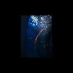 ヒステリックナイトガール