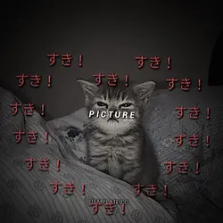 Suki Suki Suki