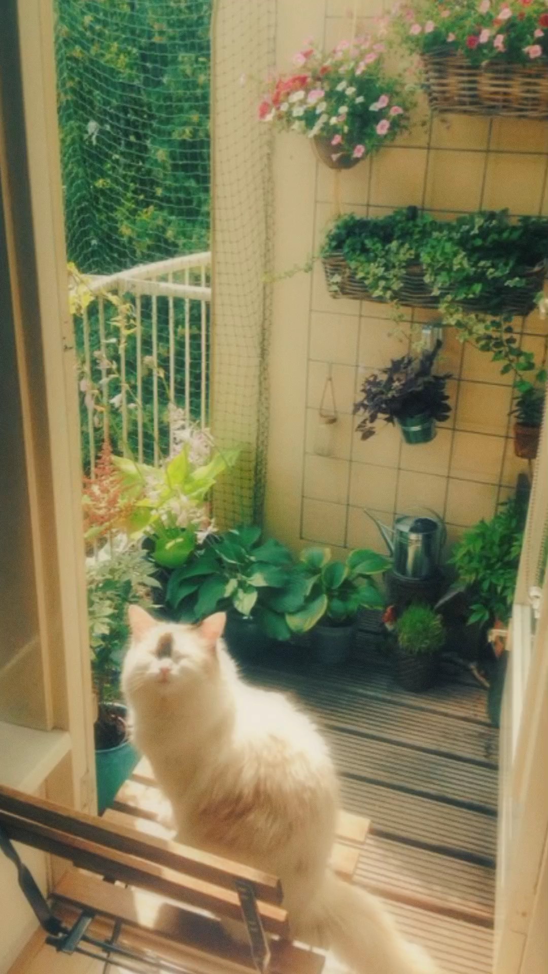 filter dream