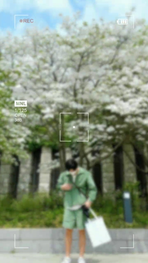 에스테틱 캡처