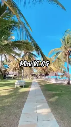 VLOG Beat 25.01