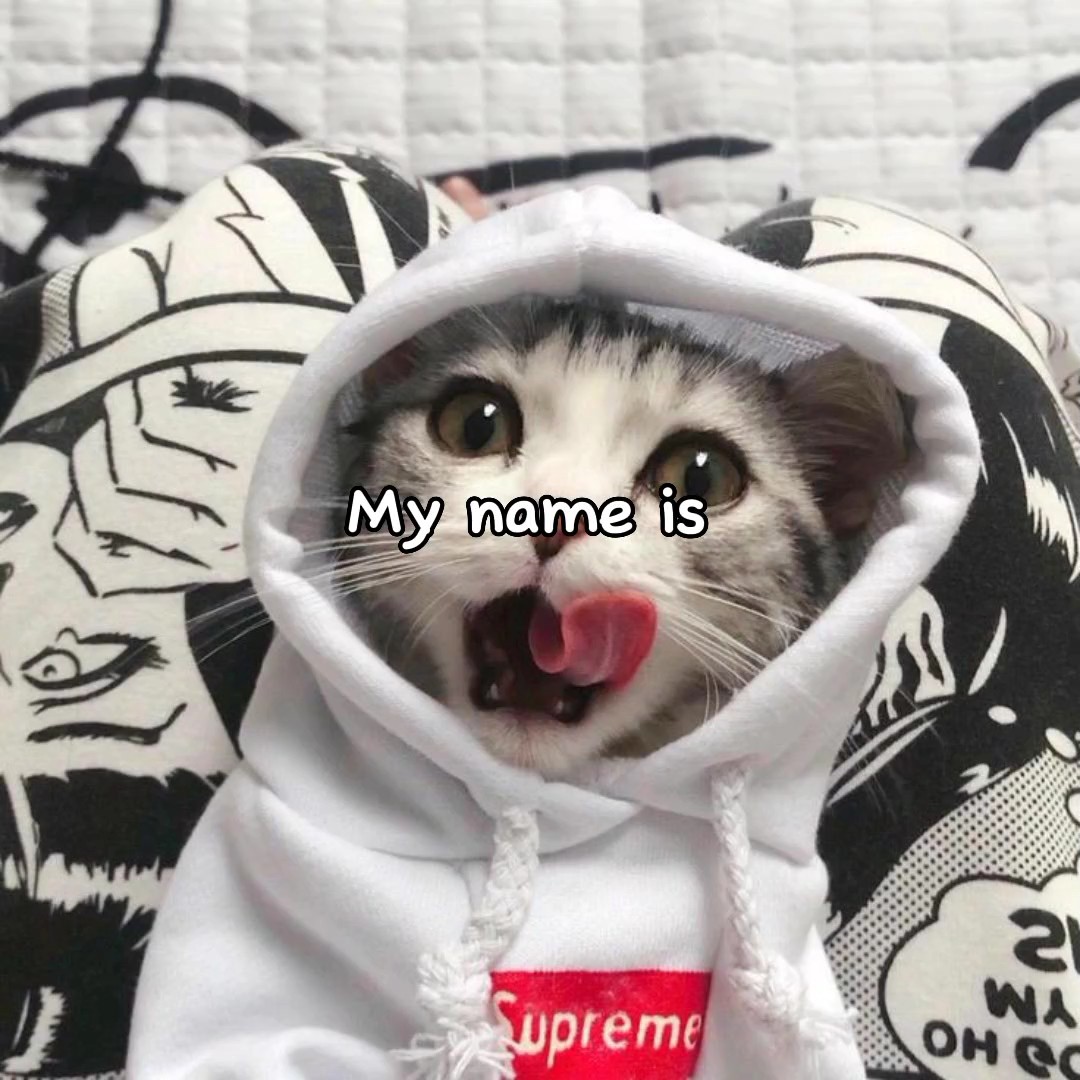 MON NOM EST!!! 
