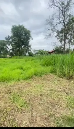1 วิดีโอ