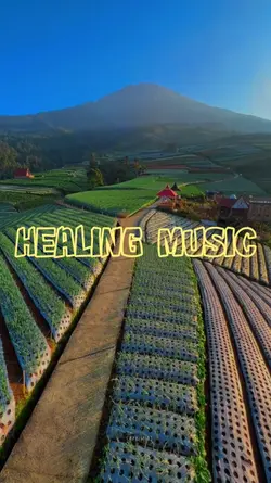 musik healing viral