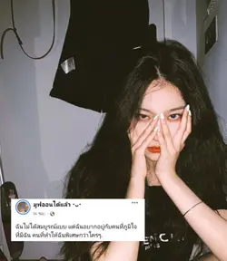 ฟีด