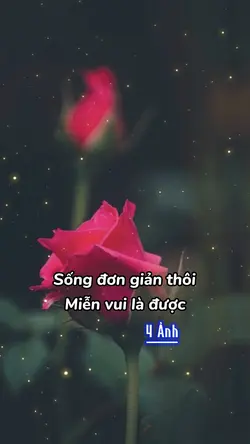 Sống Đơn Giản Thôi