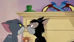 tom and jerry