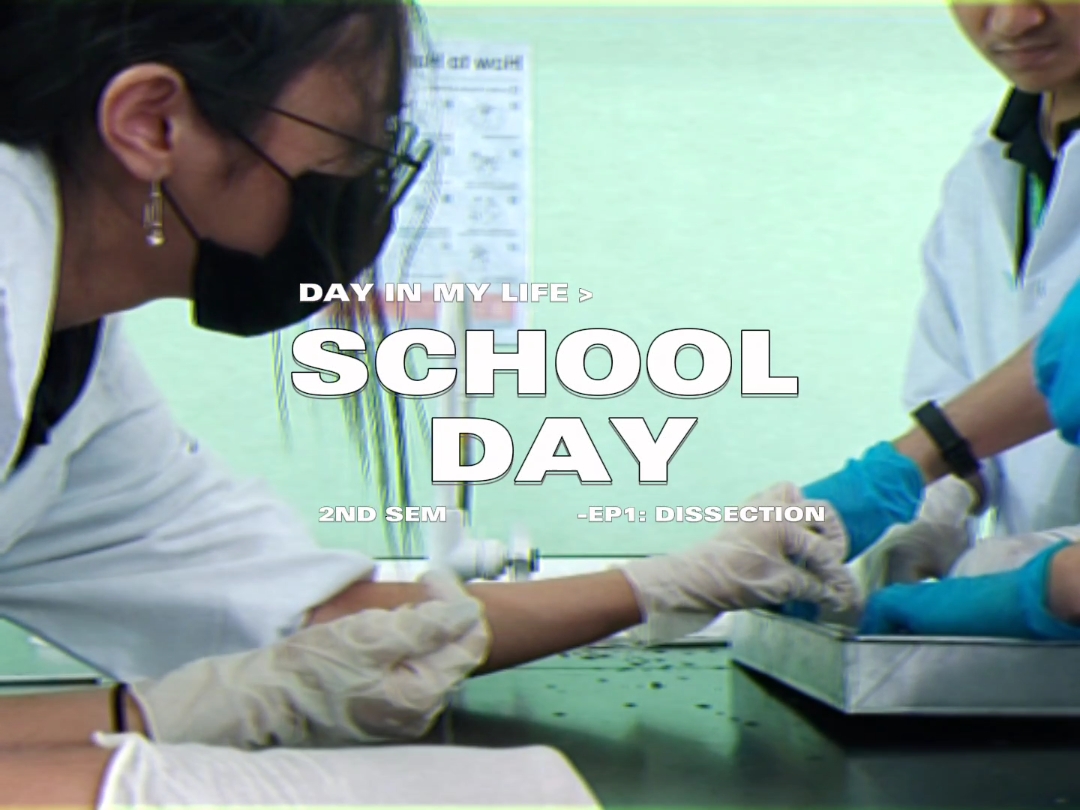 Day in my life|vlog
