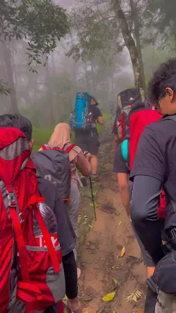 1 video 4 foto