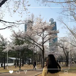 봄 박자편집 ver2