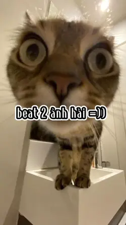 beat 2 ảnh hài