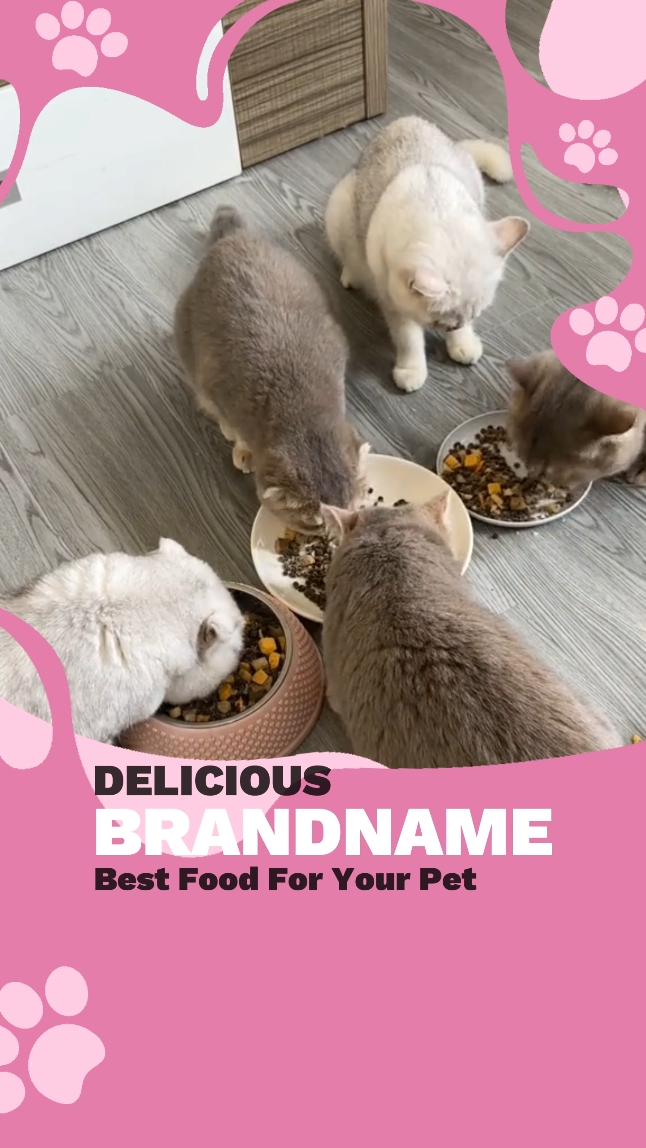 Exhibición De Ingredientes De Alimentos Para Mascotas