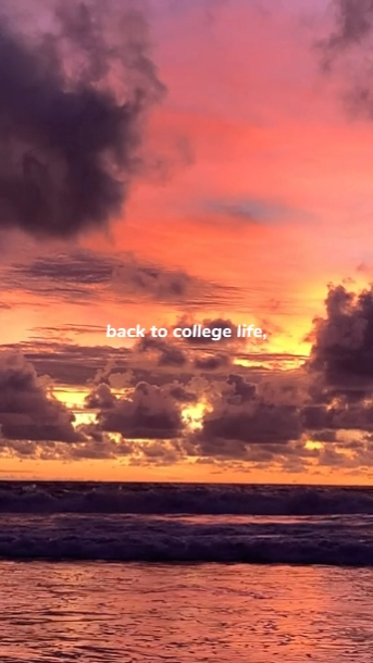 back to collage life