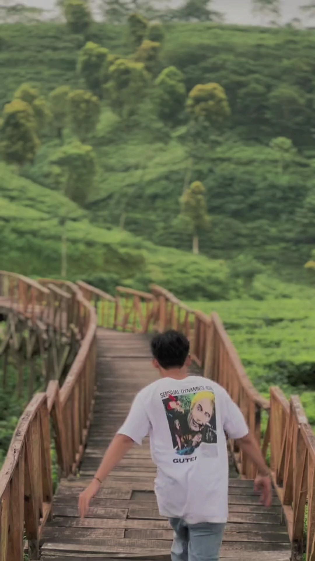 1 video 7 foto