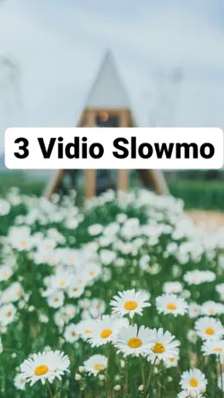 3 Vidio Slowmo