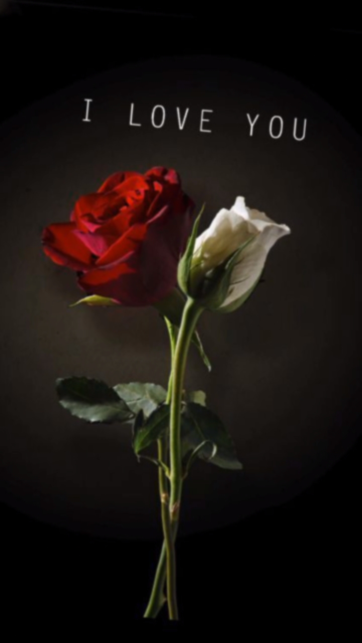 Flowers For You