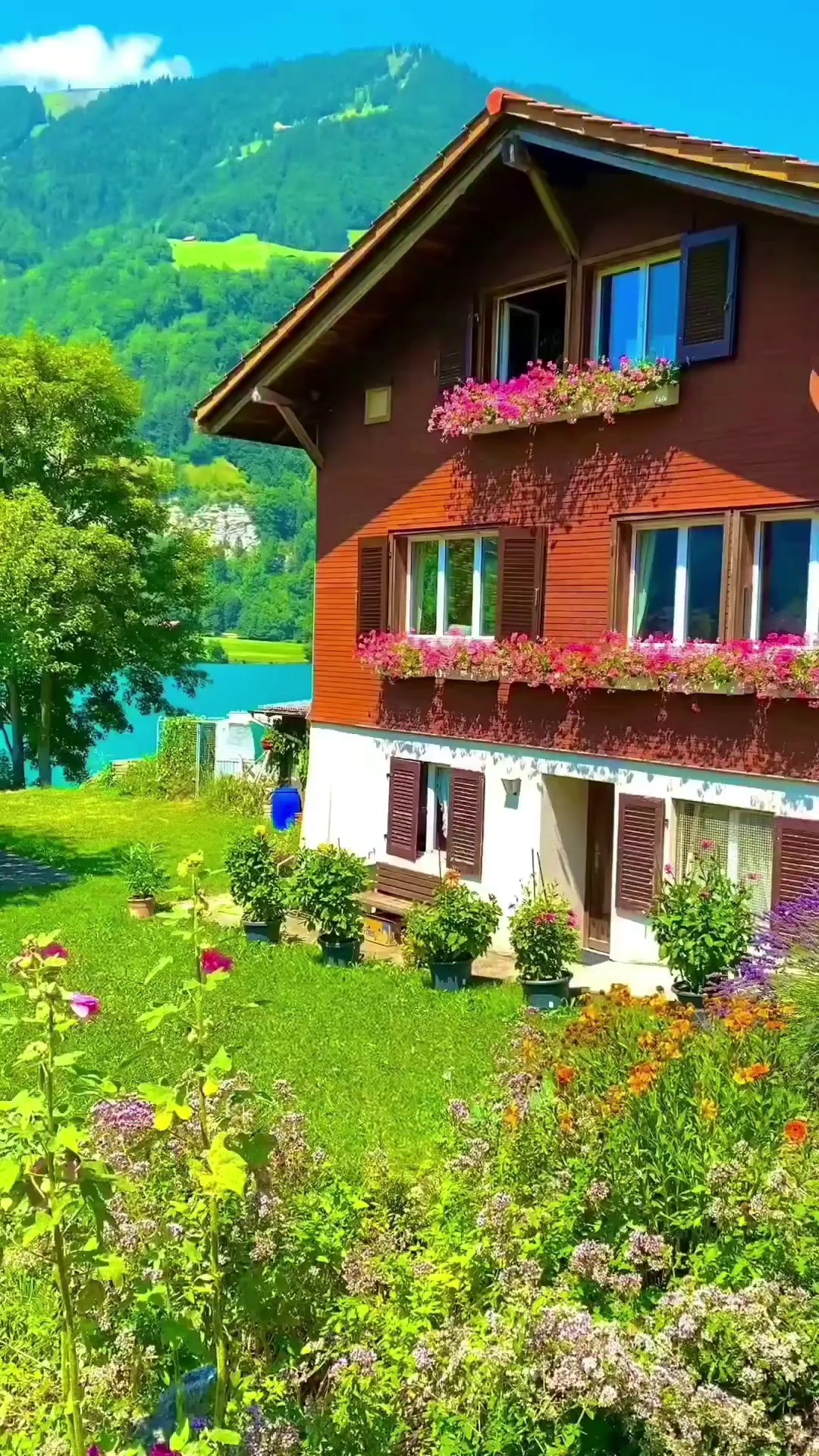Vlog KEREN
