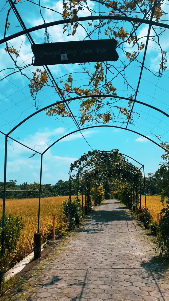 1 Video Slowmo