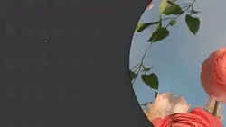 YOUTUBE OUTRO