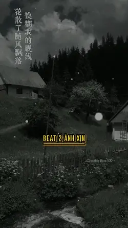 BEAT 2 ẢNH