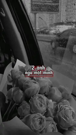 2 ảnh