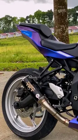 zx25r