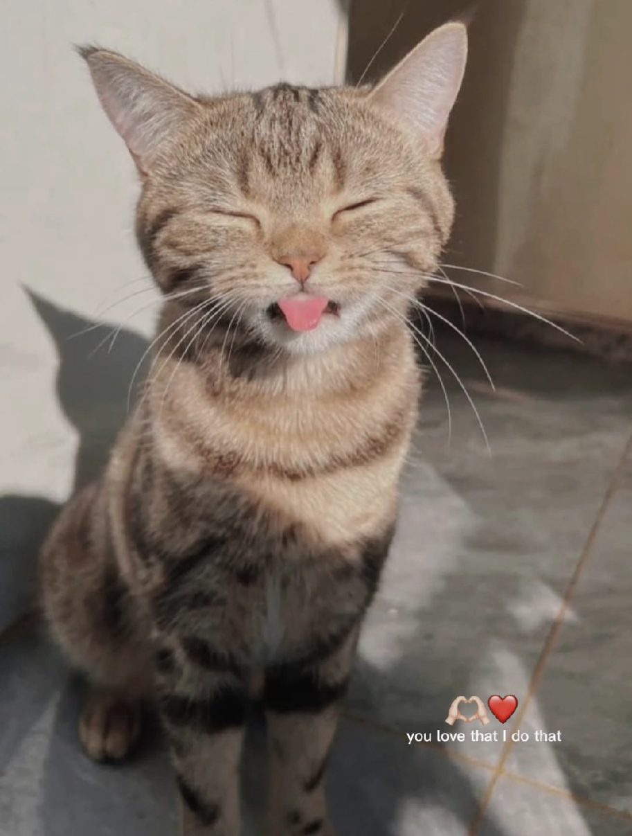 사악한 게임