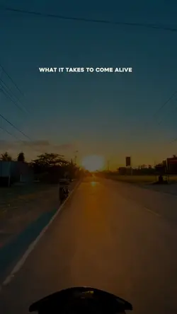 Lyrics Cinematic