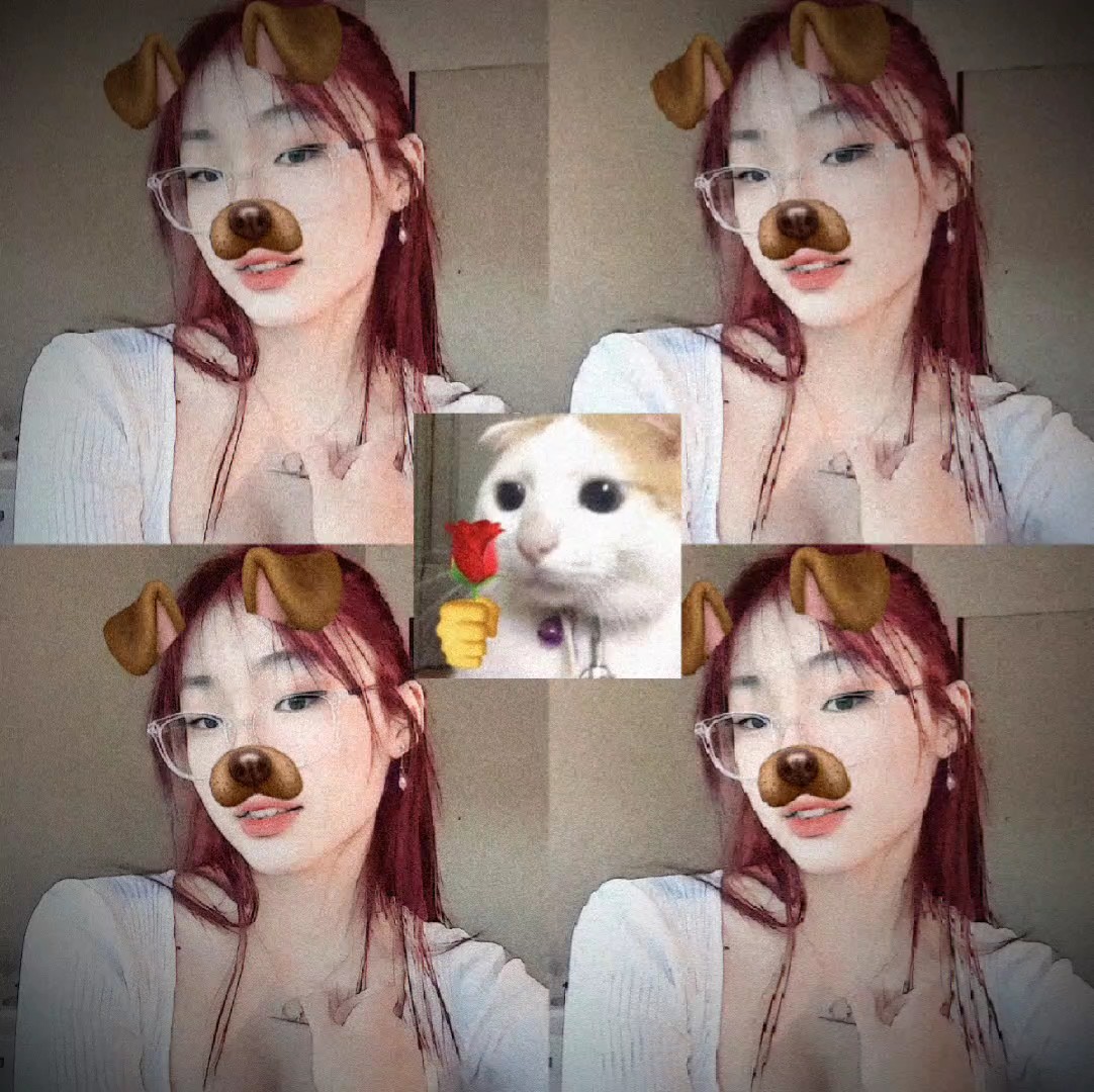 kızıl saçlı köpek v3