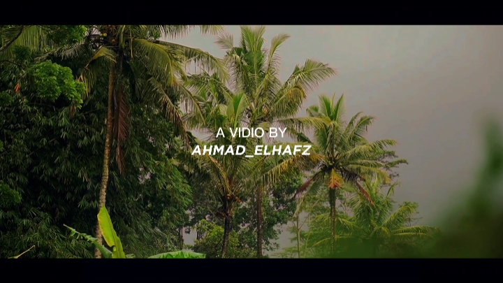 시네마틱 HD