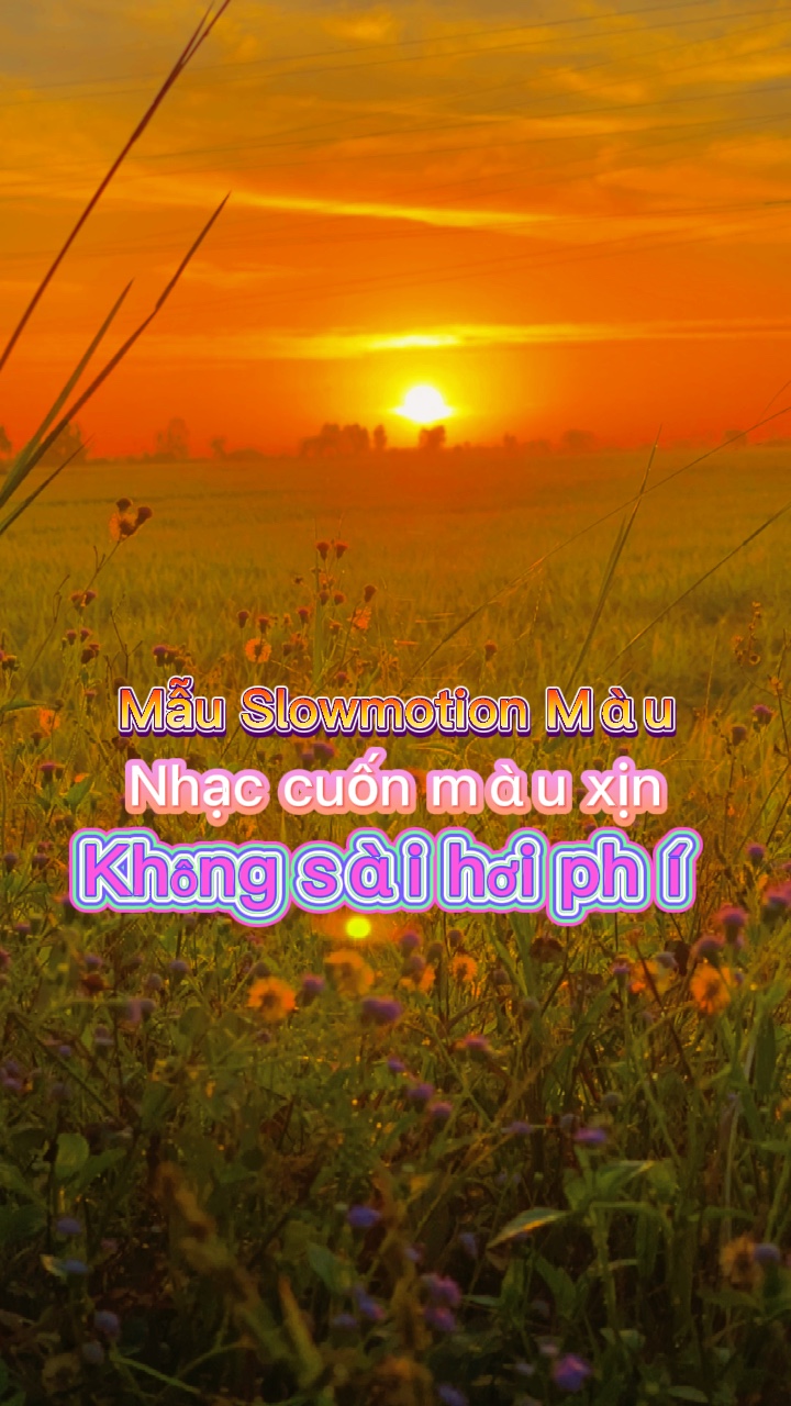 Mẫu Slowmotion Màu