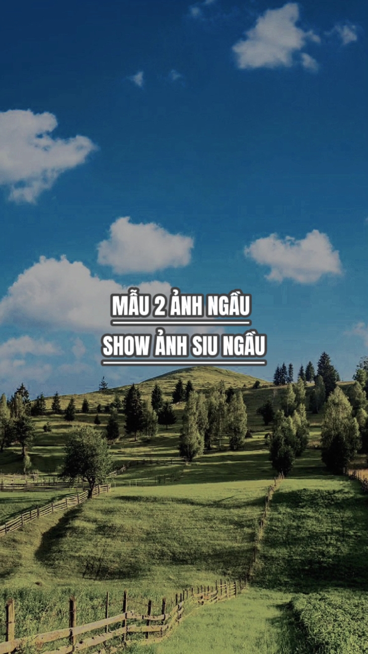 Terima kasih 2 ảnh ngầu 