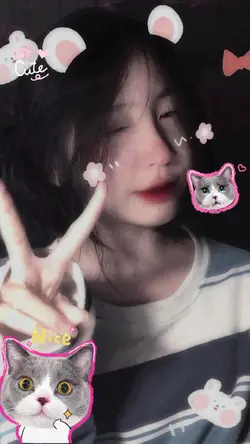 1 ảnh +  filter cat
