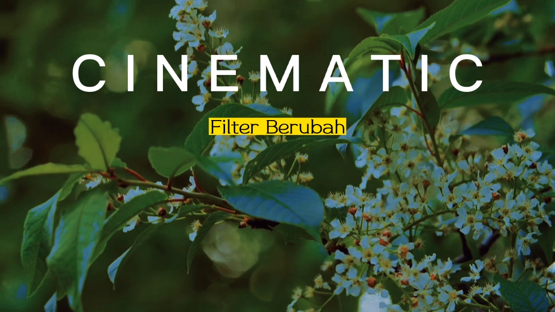 cinematic filter 