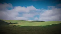 Heat Waves