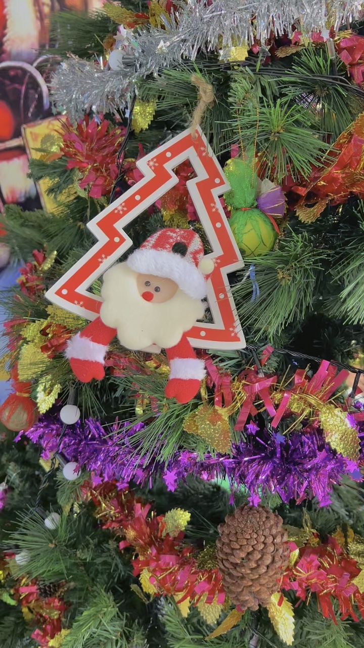 Video Natal