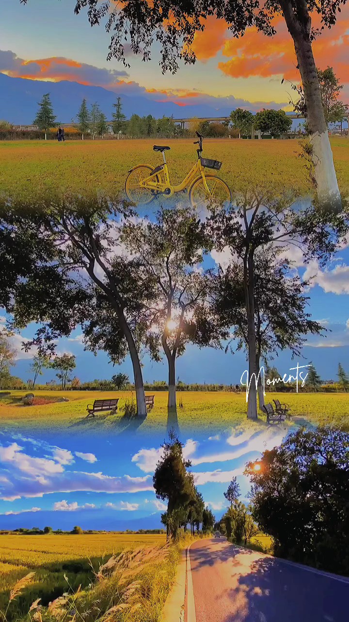 Video/foto grid