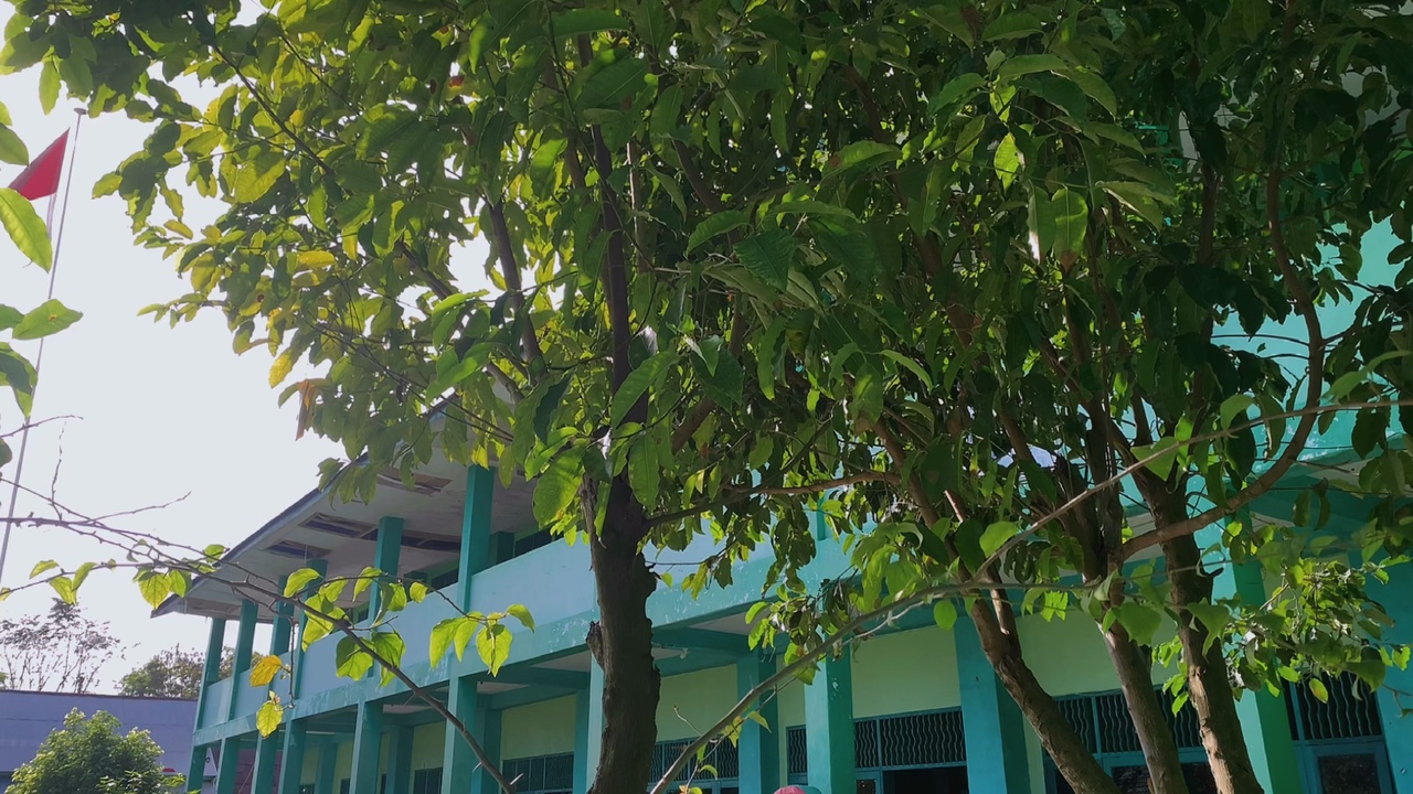 filter ng landscape hd