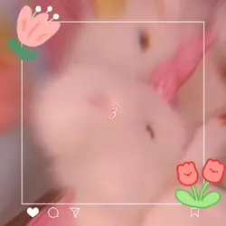 첫 템플릿 ✨💕