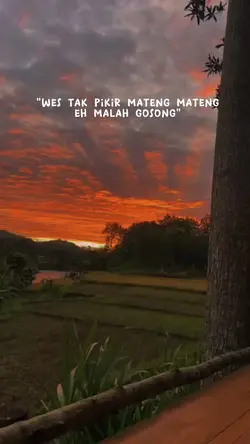 Kata kata lucu