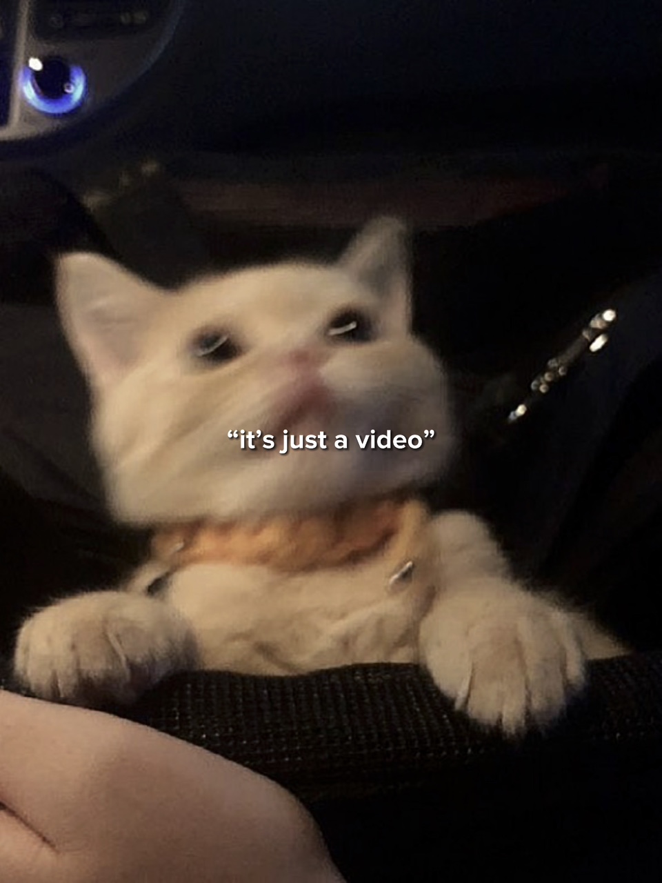 Es ist nur ein Video