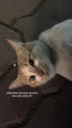 slide foto tiktok 