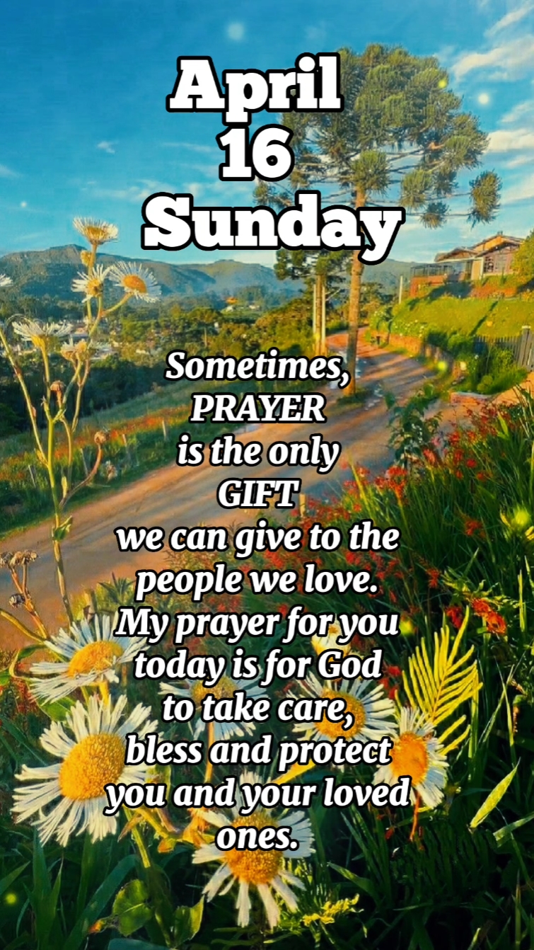FELIZ DOMINGO 