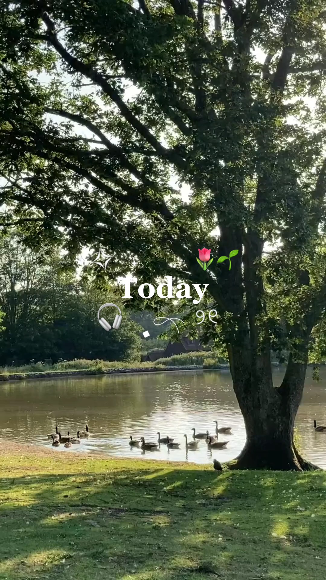 text bisa diganti 