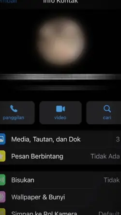 Circle grup WA ber9