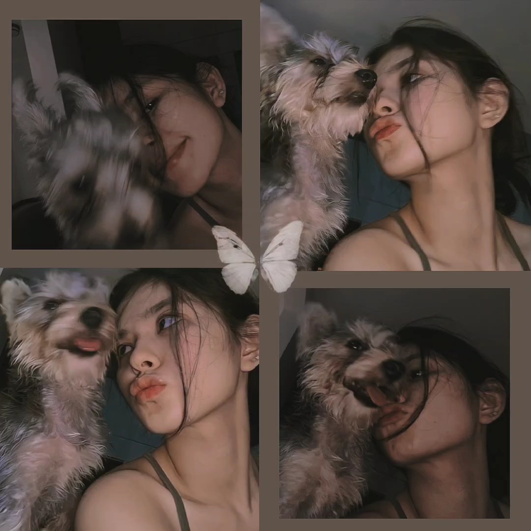 4 fotos