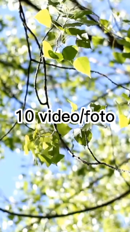 10Mei22a